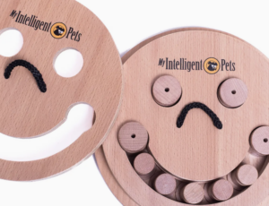 Smile Interactive Puzzle Toy